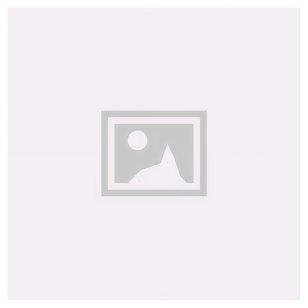 Placeholder graphic with sun and mountain